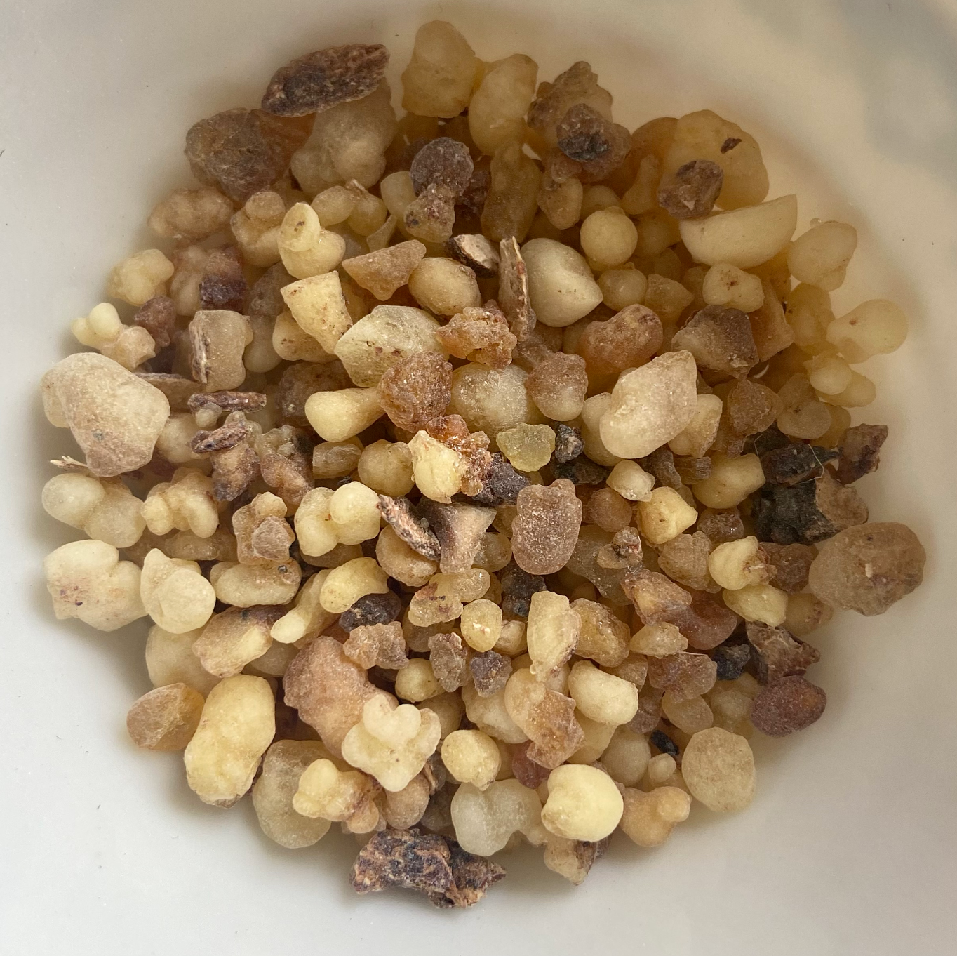 Olibanum Eritrea (Boswellia papyrifera)