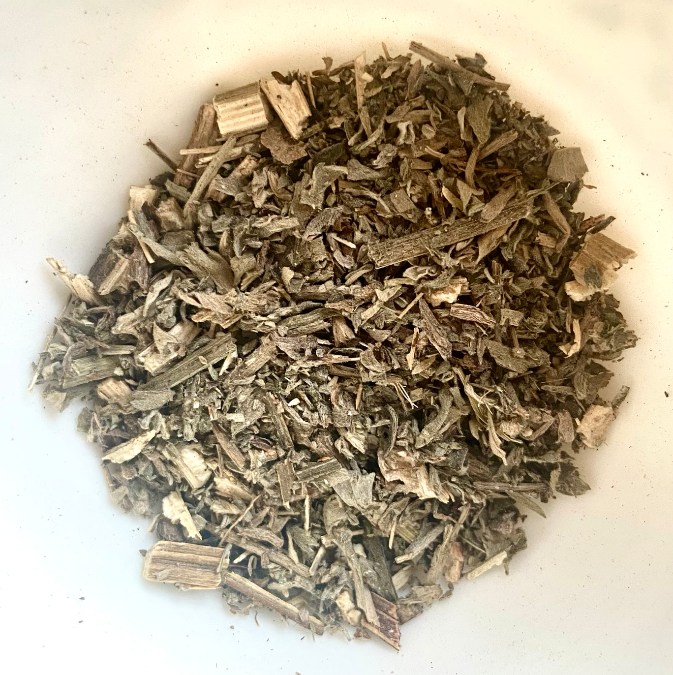 Wermut (Artemisia absinthium L.)